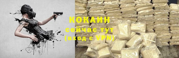 дурь Арсеньев