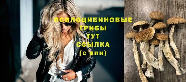 ALPHA-PVP Алексин