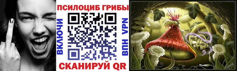 Галлюциногенные грибы Cubensis  Себеж 
